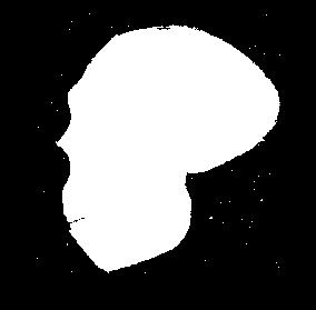Afriku.