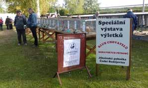 Ty byly mimo jiné věnovány okrasné vodní drůbeži, šnekům africkým nebo ovci Zwarbles a děti ocenily oslíka v oddělené ohradě.