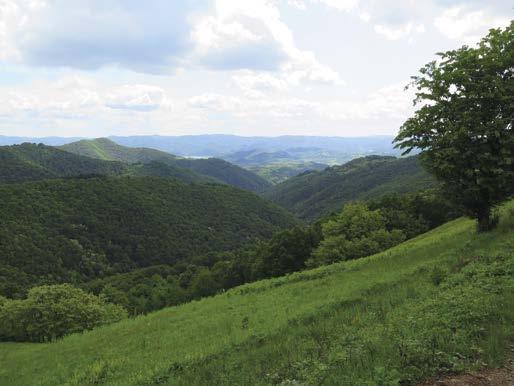 Hořovicka, Slánska, Českobrodska, Kouřimska, Příbramska a dalších oblastí. V současnosti žije ve zmíněných českých obcích na dva tisíce obyvatel.