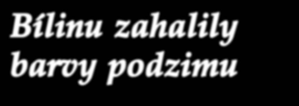 Na knihovně se opravuje fasáda Digitální kino zahájilo promítání Pozvánka na Vánoce v Bílině Mistrovství v