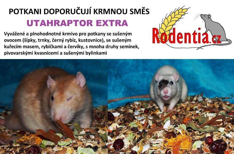 2 Antoličová Nikola Belešová Barbora Blanka Vondráčková Čacká Markéta Česlová Sandra Dřevová Karolína Dvořáková Eliška Fořterová Michala Gáliková Ivana Halíčková Adéla Hanusová Helena Hlávka Jiří