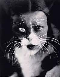 Kitty