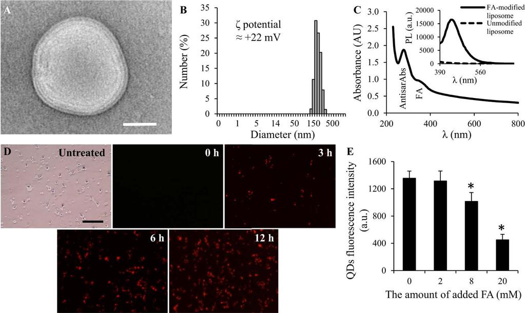 www.nature.com/scientificreports/ Carrier Cargo LE% SD FA- Liposomes Sarcosine 78.9 6.21 antisarabs 56.2 5.16 Table 1.