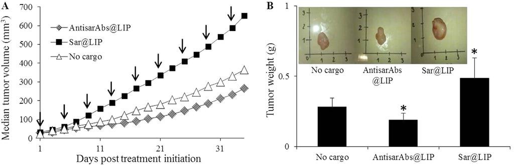 www.nature.com/scientificreports/ Figure 2. In vivo antitumor efficacy of liposomal formulations in PC-3 tumor xenografts. (A) Average tumor volume in nude mice bearing subcutaneous PC-3 tumors.