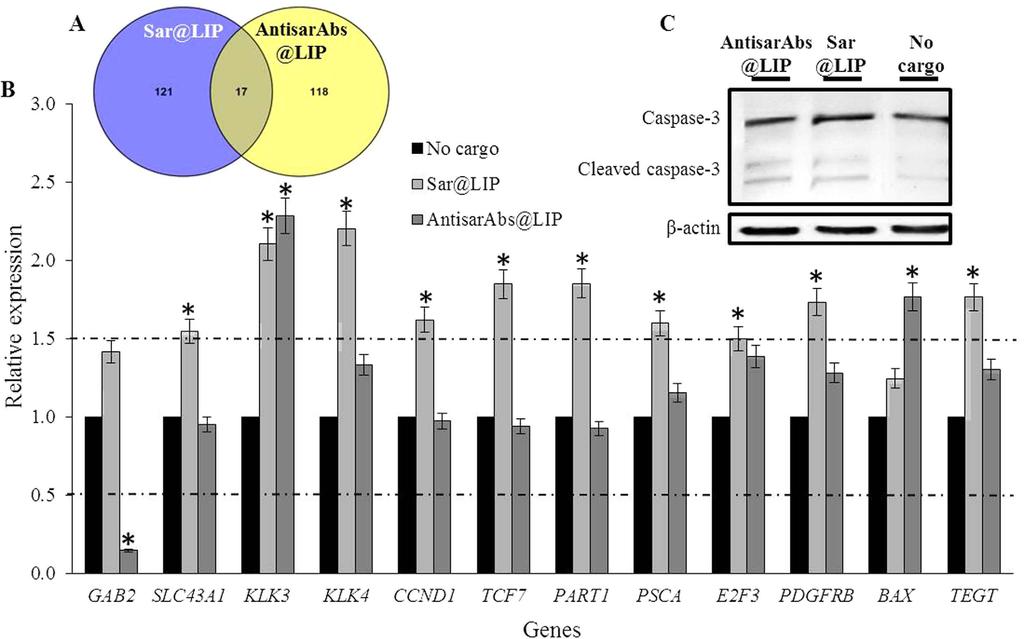 www.nature.com/scientificreports/ Figure 3. Effects of administration on the gene expression patterns.