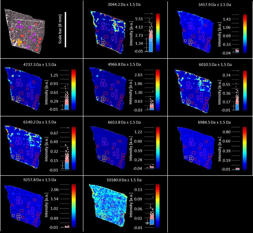 Supporting information S1 Fig.