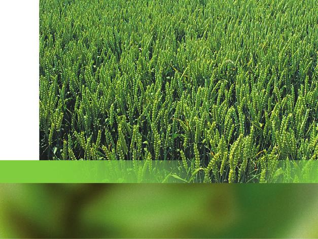 VOD Jetřichovec, okres Pelhřimov Orná půda: 1800 ha Nadmořská výška: 550 m 