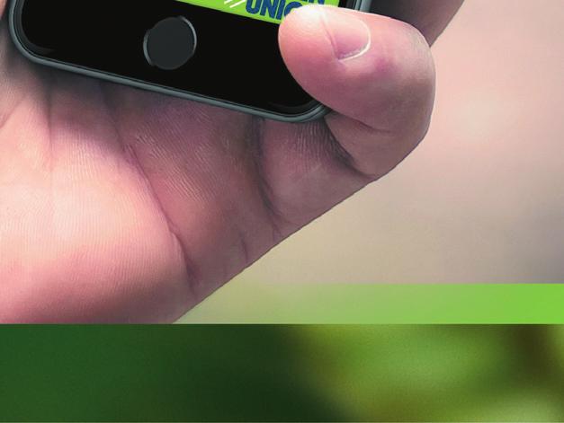 Na úvod Vám pomůže řešit na základě zvoleného hybridu hlavní informace o