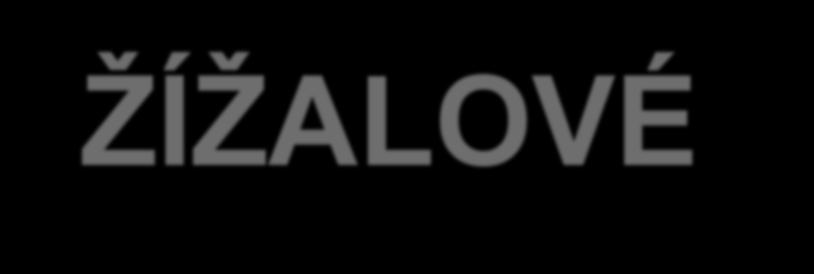 ŽÍŽALOVÉ