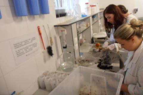 Součást řešení projektu experimenty -