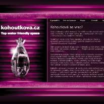 Vodárenské společnosti jim provedou navíc zdarma kontrolu kvality vody. Tato kontrola se dělá jako nadstandard restauraci, aby měl majitel i hosté jistotu, že voda je v naprostém pořádku.