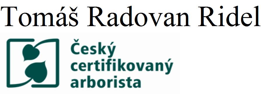 Rámcový posudek provozní bezpečnosti jasanového stromořadí vedoucí k rybníku Pickrovu v Nevolicích a návrh sanačních ošetření.