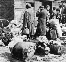 a desítek kusû hus. Paní Anna Gerlingerová, která bydlela v cihelnû, byla nalezena mrtvá, byla zastfielena. Obec ãítá zaãátkem dubna 1945 celkem 998 obyvatel a 301 dûm, z toho obydlen ch 294.