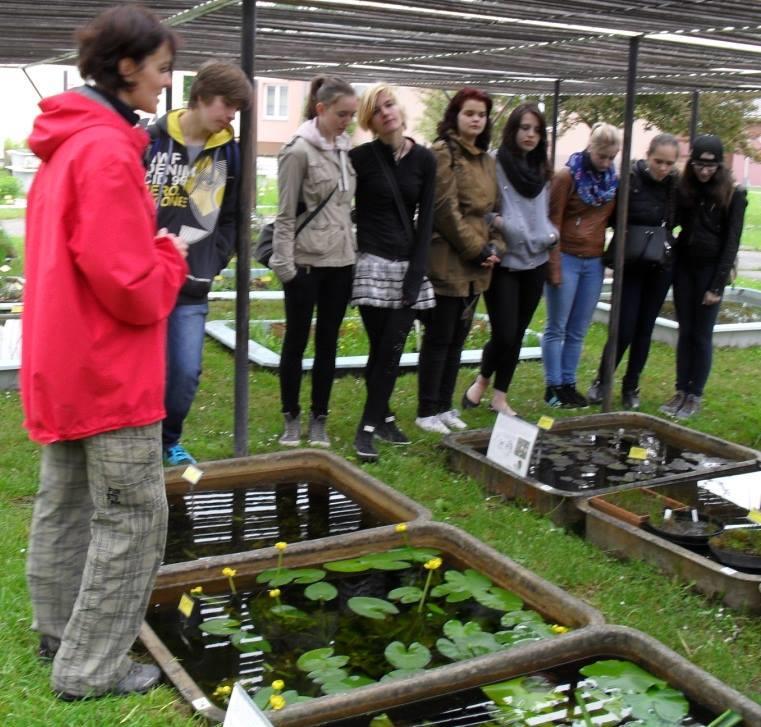 - Gastrofest, České Budějovice cukrář, pekař - Muzeum čokolády, Tábor cukrář, pekař - Pekárny Srnín pekař, cukrář - IX.