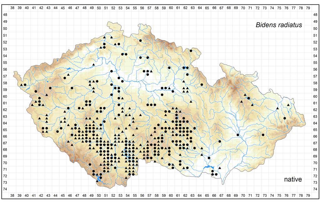 Distribution of Bidens radiatus in the Czech Republic Author of the map: Jitka Štěpánková Map produced on: 12-05-2016 Database records used for producing the distribution map of Bidens radiatus