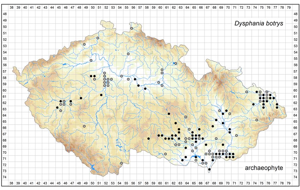 Distribution of Dysphania botrys in the Czech Republic Author of the map: Zdeněk Kaplan, Pavel Dřevojan, Kateřina Šumberová Map produced on: 05-05-2017 Database records used for producing the