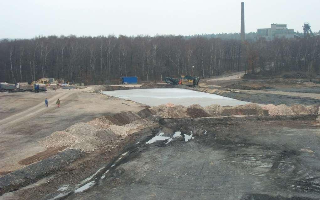 Plavení korunové