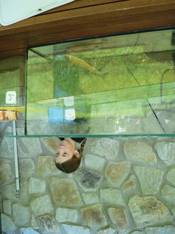 Národní park Šumava je tou nejlepší učebnou pod širým nebem www.npsumava.