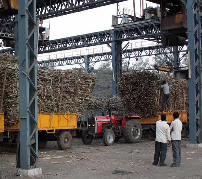 Indické cukrovarnictví India s Sugar Industry Vít Hinčica Vysoká škola ekonomická v Praze Indický trh cukru je objemově jedním z největších na světě.