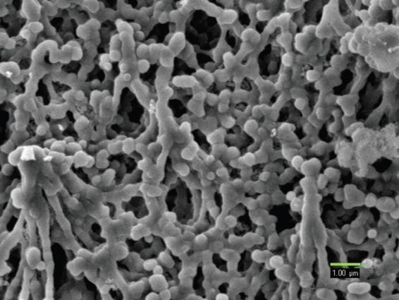 Vyrábějí se z borosilikátového skla. Průměr vláken je od 0,1 µm a jejich délka je 1-2mm. V Tab. 2.