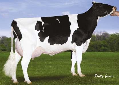 4% 488 kg R % Bílkovina +29 +0.06 735 PTAT 1.92 Vemeno 0.98 Konč. 1.12 Porody 5.9 SCS 2.81 Exteriér Stád: 0 Dcer: 0 R %: 75 1.91 malý # # velký 0.97 slabá # # silný 0.94 mělká # # hluboká 1.