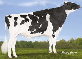 VAL-BISSON DOORMAN NXB-305 DE-SU 521 BOOKEM VAL-BISSON SHOTTLE IMELDA 04-03 305 15 535 3.7% 578 3.5% 549 kg PICSTON SHOTTLE Celoživotně: 39 418 4.2% 1 655 3.