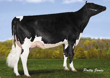 2% 447 3.2% 337 kg Celoživotně: 10 641 4.2% 447 3.2% 337 kg DN: 11.2.2016 BOASTFUL x TANGO x SUPERSIRE Dcer 0 Mléko +558 2656 Tuk +34 +0.11 NM$ R % 79 % Bílkovina +25 +0.07 857 PTAT 1 Vemeno 1.