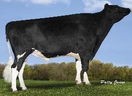 COMESTAR LAUTRUST NXB-412 VA-EARLY-DAWN SUDAN COMESTAR LAUTAMAI MAN O MAN 02-01 305 15 918 4.2% 676 3.4% 537 kg LONG-LANGS OMAN OMAN Celoživotně: 53 014 4.1% 2 166 3.