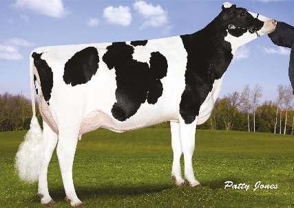 5% 494 kg AMIGHETTI IRON ALUNDRA 04-05 305 11 559 3.8% 444 3.4% 396 kg Celoživotně: 58 896 4.0% 2 335 3.4% 2 031 kg Stád 5296 Dcer 15494 Mléko -152 2336 Tuk +24 +0.25 NM$ R % 99 % Bílkovina +2 +0.
