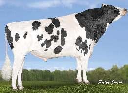 COMESTAR LINEMAN MOUNTFIELD SSI DCY MOGUL COMESTAR LAUTAMAI MAN O MAN 05-01 305 15 517 3.9% 611 3.
