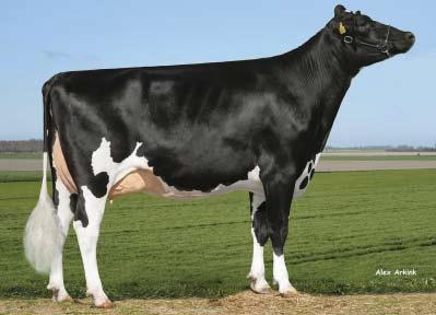 SILVERIO NEO-662 Silverio NL 876060452 *10. 10.