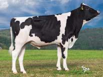 GENOMICKÉ PLEMENNÉ HODNOTY ČR/ GENOMIC BREEDING VALUES CZECH REPUBLIC 8/2018 Mléko Milk +1553 kg Fat +0,16 % +64 kg Bílkoviny Protein +0,05 % +46 kg SIH celk.