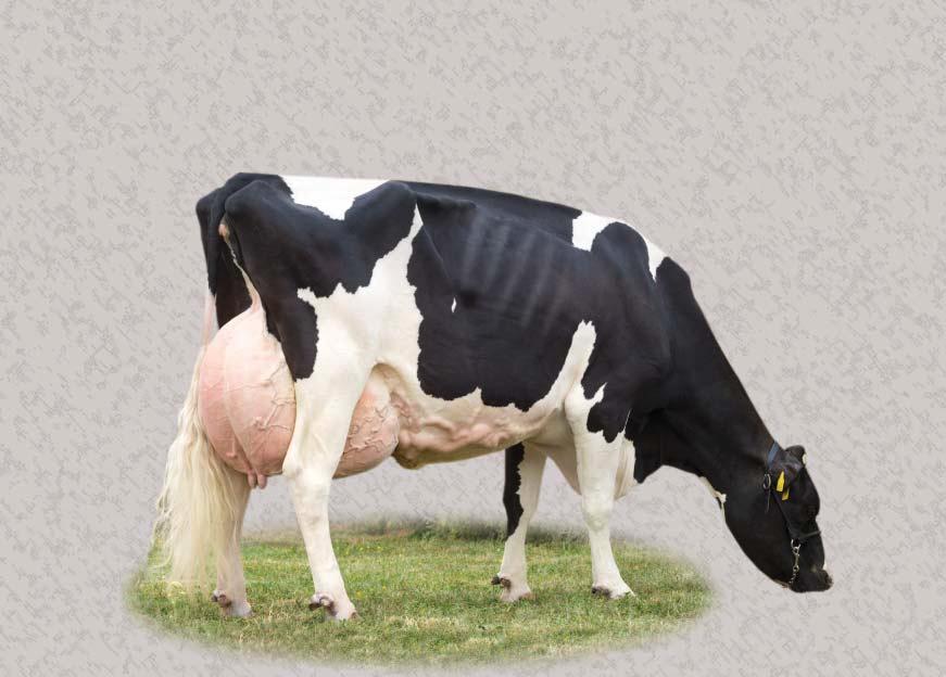 CHCETE ZLEPŠIT.