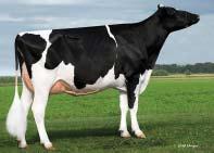 +0,01 % +56 lb Opakovatelnost Reliability 79 % GTPI celk.
