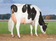 Protein +0,04 % +51 lb Opakovatelnost Reliability 79 % GTPI celk.