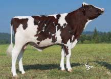 Bílkoviny Protein +0,22 % +32 kg SIH celk.