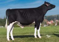 96 % (217 dcer/40 stád) SIH celk.inde Total inde 122 Porody Calving na krávy/for cows Plodnost pat.