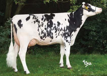NORTHON Northon ET CZ 622207021 *15. 2.