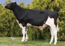 +0,25 % +36 kg SIH celk.