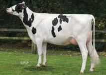 +0,05 % +42 kg SIH celk.
