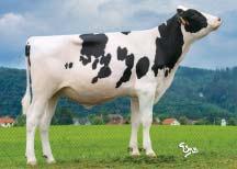 Protein +0,05 % +42 kg SIH celk.