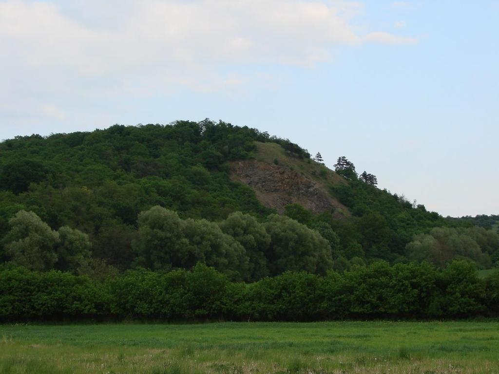 Příloha 7: Fotodokumentace studované lokality