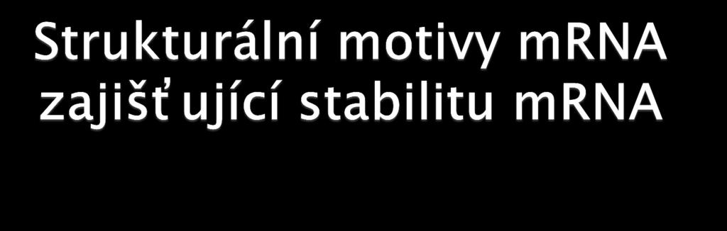 stabilizace vlásenky na 5 - konci a degradace mrna ve směru 5 3 segment na 5 - konci některých pomalu degradovaných mrna může struktury stabilizovat (např.