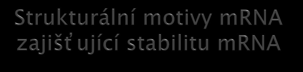 stabilizace mrna vlásenkou na 3 - konci a degradace mrna ve směru 3 5 stabilní vlásenky se nachází na 3 - konci mnoha mrna (Rho, REP motivy) poskytují ochranu před degradací exonukleasami PNPase a