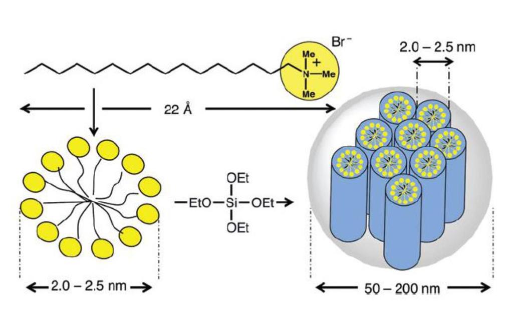 Mesoporous silica 24 Hoffmann, F. et al.