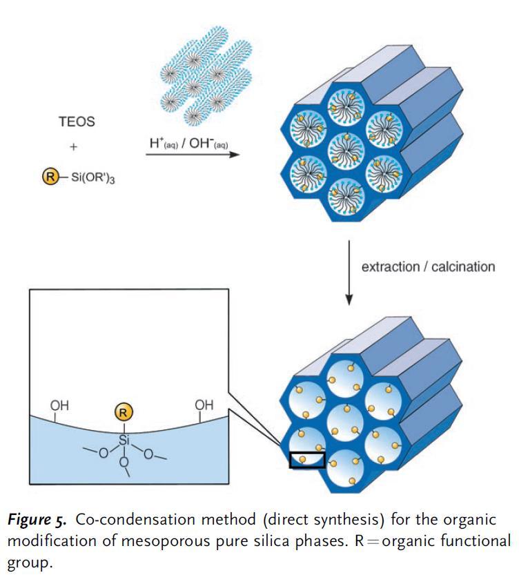 Mesoporous silica 26 Hoffmann, F. et al.