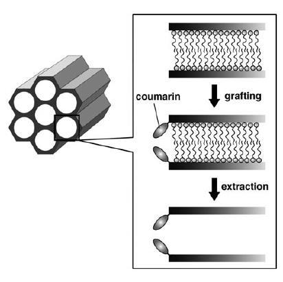 Mesoporous silica 28 Hoffmann, F. et al.