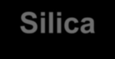 Silica NPs 35 Tang, L. et al.