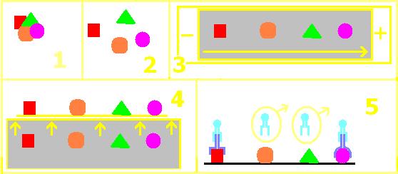 Western blotting princip 1: původní antigen (směs) 2: uvolnění jednotlivých antigenů detergentem 3: elektroforetické