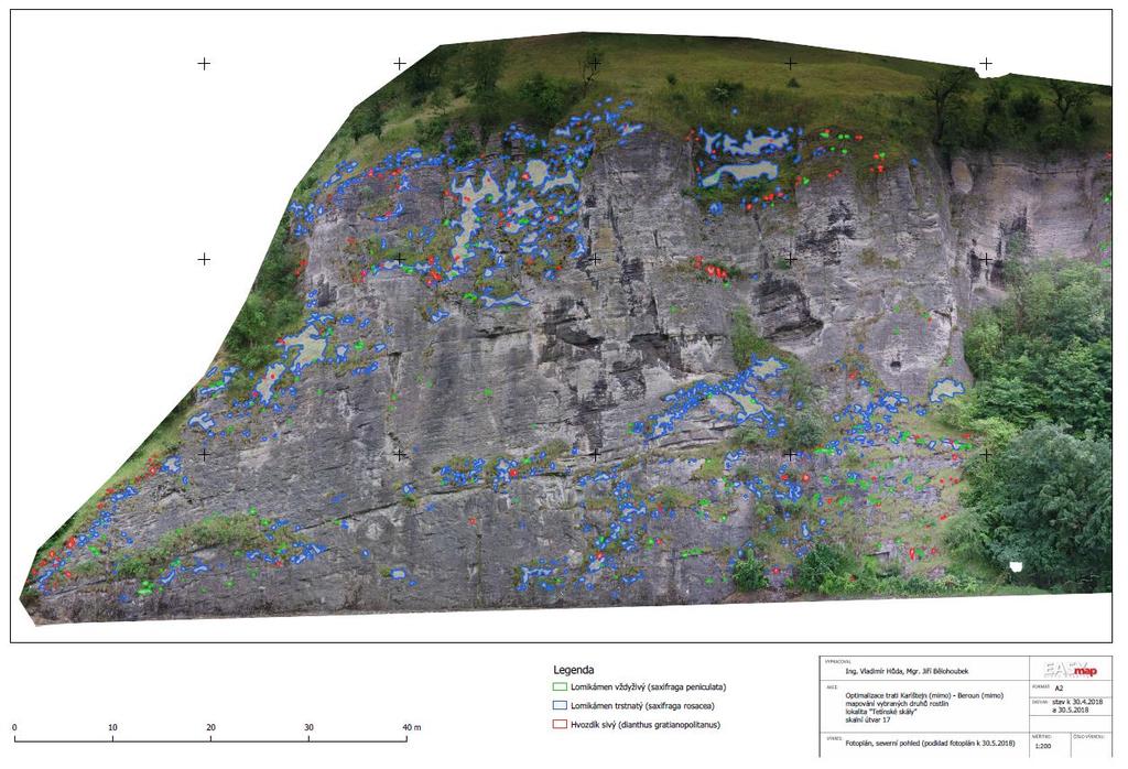 Příklad 5: Biologické hodnocení nepřístupných skalních útvarů Technické údaje: Prostorové rozlišení ortomozaiky: 3 mm/px Zvláště